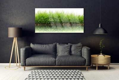 Acrylic Print Grass nature green