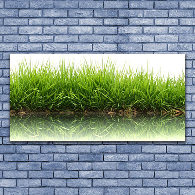 Acrylic Print Grass nature green