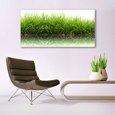 Acrylic Print Grass nature green