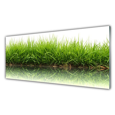 Acrylic Print Grass nature green