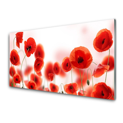 Acrylic Print Poppies floral red green