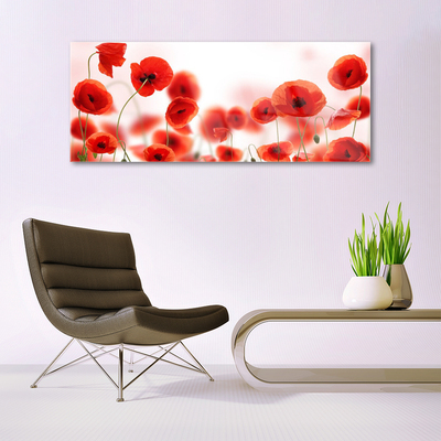 Acrylic Print Poppies floral red green