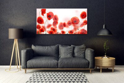 Acrylic Print Poppies floral red green