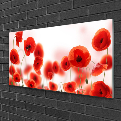 Acrylic Print Poppies floral red green