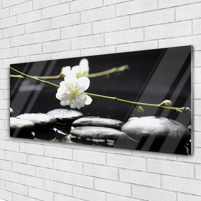 Acrylic Print Flower stones art white black