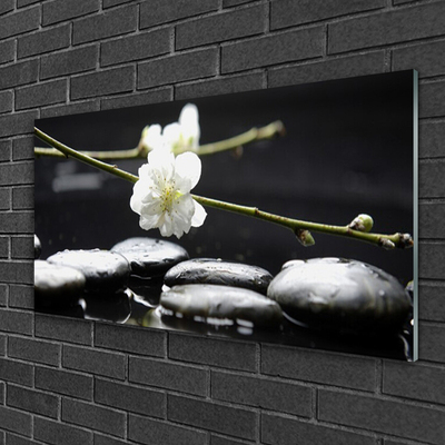 Acrylic Print Flower stones art white black