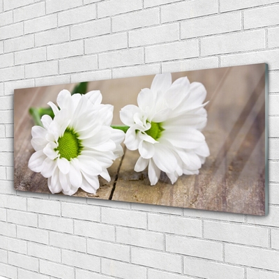 Acrylic Print Flowers floral white green