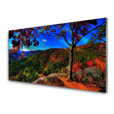 Acrylic Print Mountain forest nature brown orange green