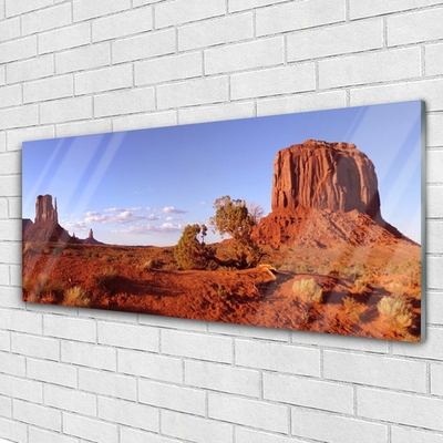 Acrylic Print Desert landscape brown green