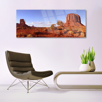 Acrylic Print Desert landscape brown green