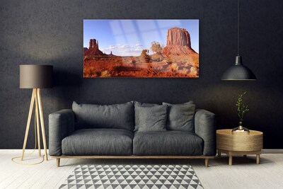 Acrylic Print Desert landscape brown green