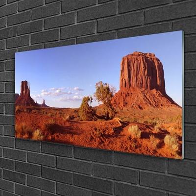 Acrylic Print Desert landscape brown green