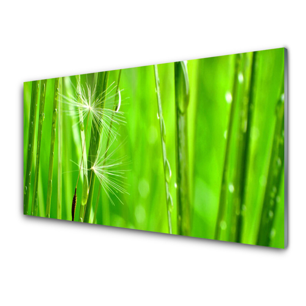 Acrylic Print Grass floral green