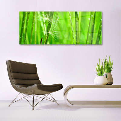 Acrylic Print Grass floral green