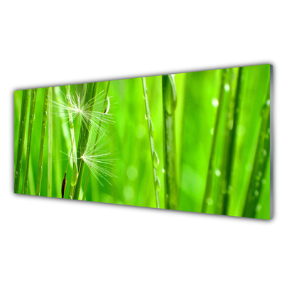 Acrylic Print Grass floral green