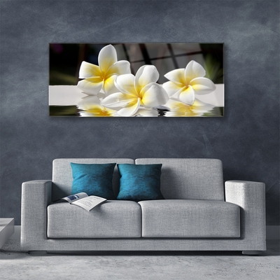 Acrylic Print Flowers floral white yellow