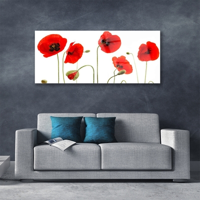 Acrylic Print Poppies floral red black green