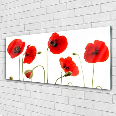 Acrylic Print Poppies floral red black green