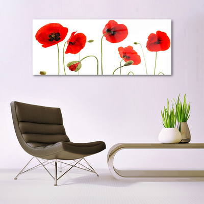 Acrylic Print Poppies floral red black green