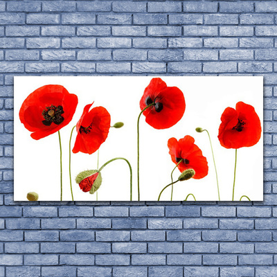 Acrylic Print Poppies floral red black green