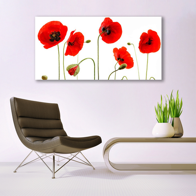 Acrylic Print Poppies floral red black green