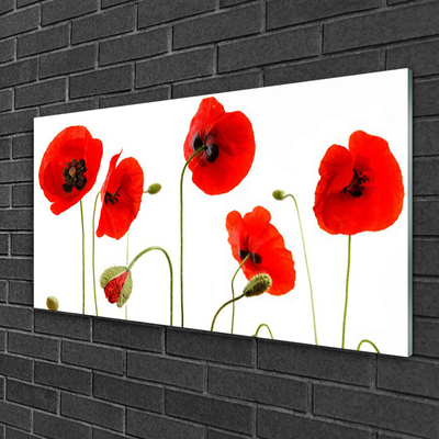 Acrylic Print Poppies floral red black green