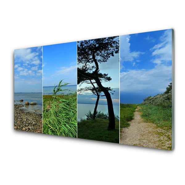 Acrylic Print Beach tree footpath landscape green brown black