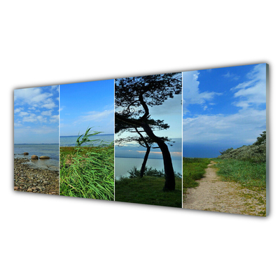 Acrylic Print Beach tree footpath landscape green brown black