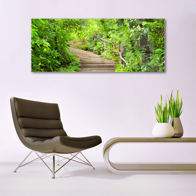 Acrylic Print Stairs nature brown green