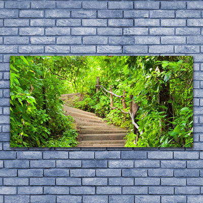 Acrylic Print Stairs nature brown green