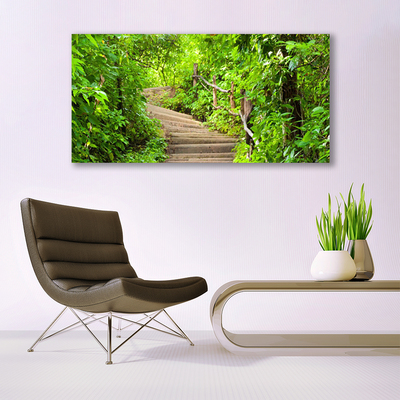 Acrylic Print Stairs nature brown green