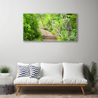 Acrylic Print Stairs nature brown green