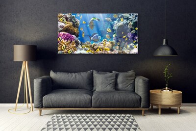 Acrylic Print Coral reef nature multi