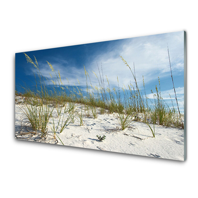 Acrylic Print Beach landscape brown green