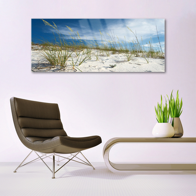 Acrylic Print Beach landscape brown green