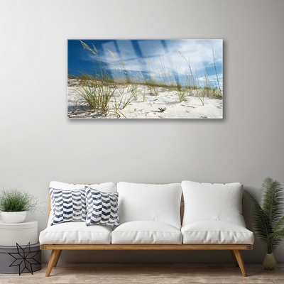 Acrylic Print Beach landscape brown green