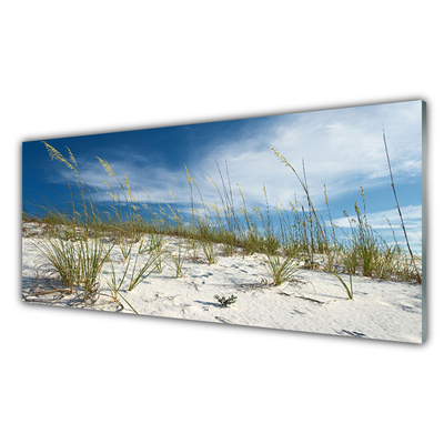 Acrylic Print Beach landscape brown green