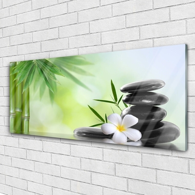 Acrylic Print Bamboo stalk flower stones art green white black