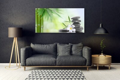 Acrylic Print Bamboo stalk flower stones art green white black