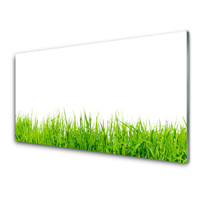 Acrylic Print Grass nature green