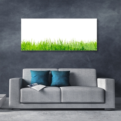 Acrylic Print Grass nature green