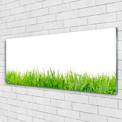 Acrylic Print Grass nature green