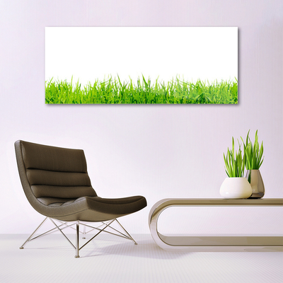 Acrylic Print Grass nature green