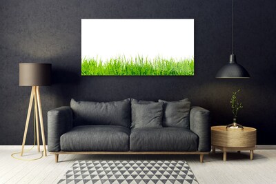 Acrylic Print Grass nature green