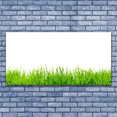 Acrylic Print Grass nature green