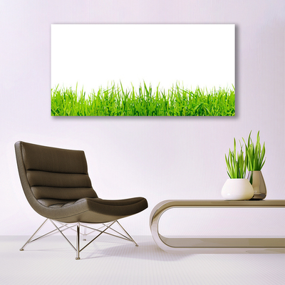 Acrylic Print Grass nature green