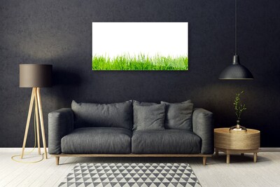 Acrylic Print Grass nature green