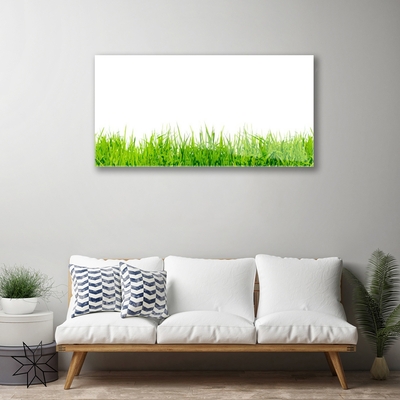 Acrylic Print Grass nature green