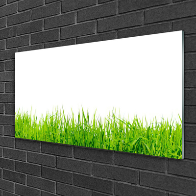 Acrylic Print Grass nature green