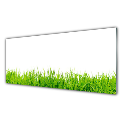 Acrylic Print Grass nature green